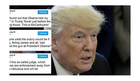 Trump's Controversial Remarks: Harris Retard Incident